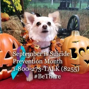 Meet your Posher, Cassandra